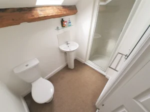 Room 17 en-suite bathroom - Extra Large Double En-Suite, Loft